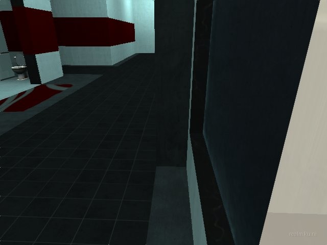 dm_ziba_remake thumb 18