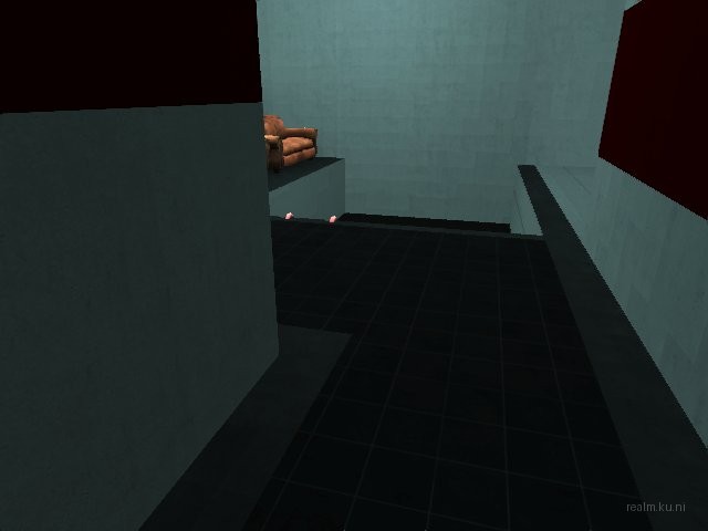 dm_ziba_remake thumb 9