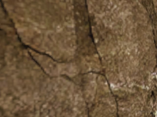 dsmap5 thumb 8
