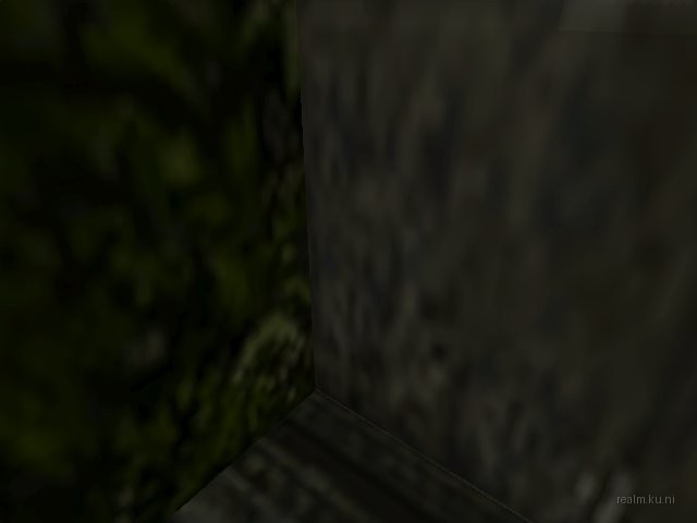 endoslide2attempt2 thumb 46