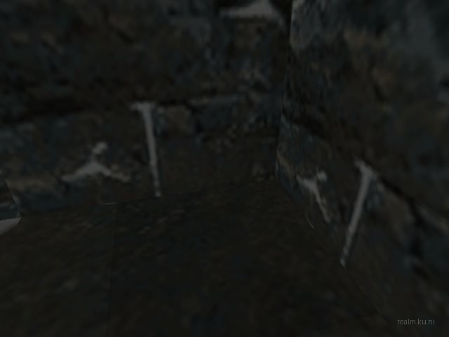 endoslide2attempt2 thumb 33