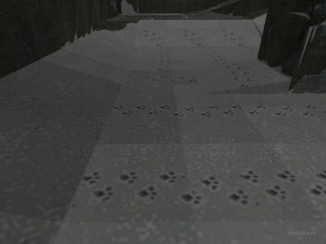 endoslide2attempt2 thumb 23