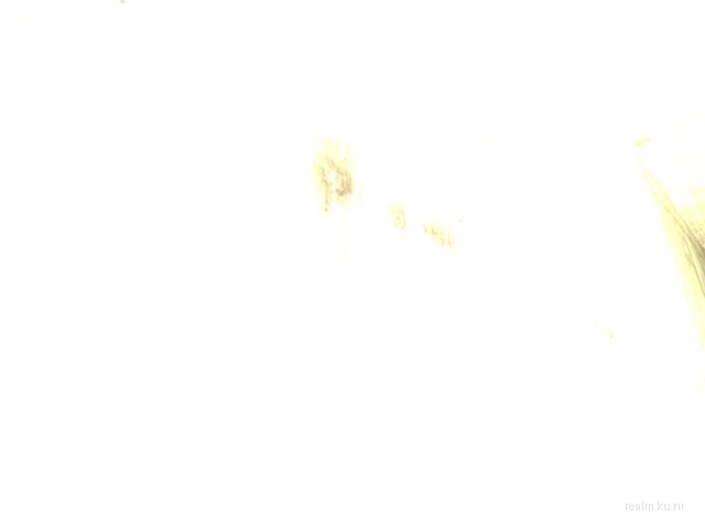forcesdigitalemoution thumb 16