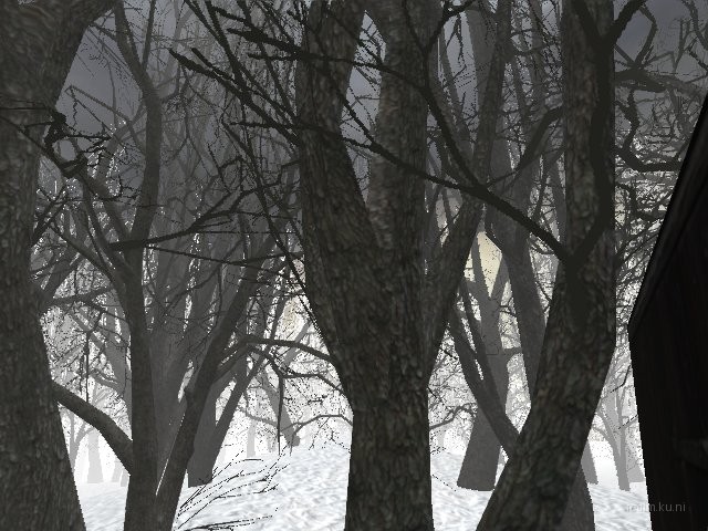 forest_q thumb 10