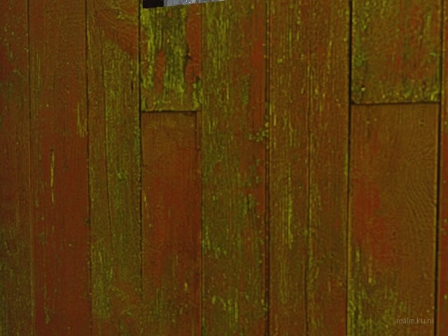 forest_q thumb 16