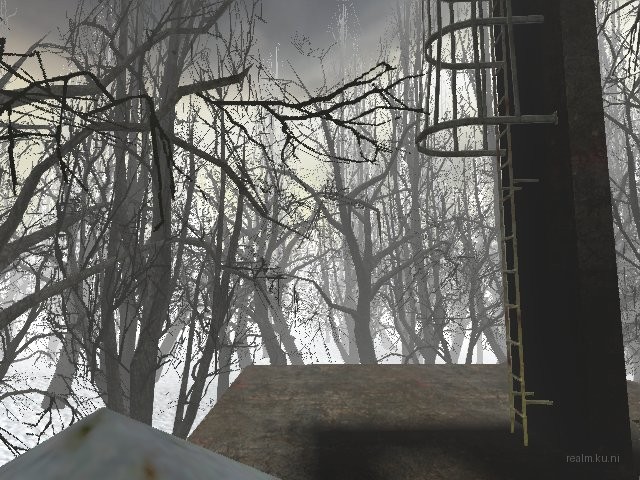 forest_q thumb 17