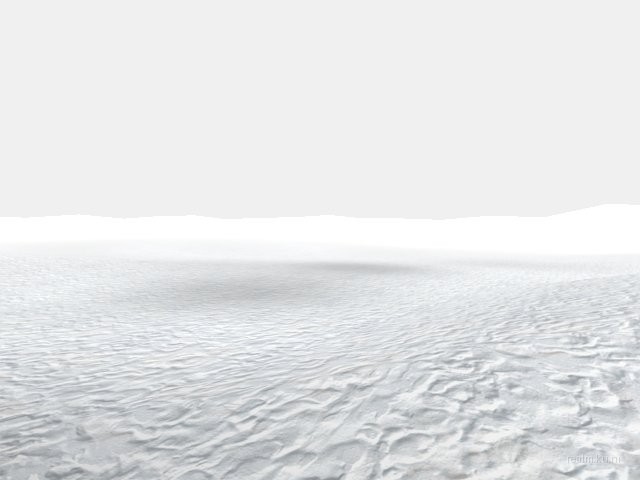 forest_q thumb 3
