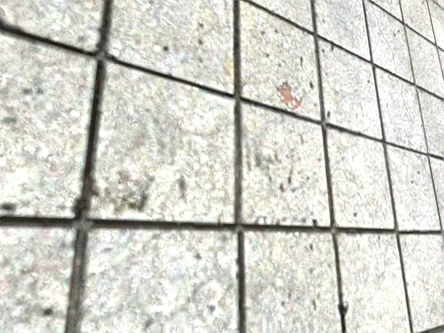 fun_biggiebox thumb 3