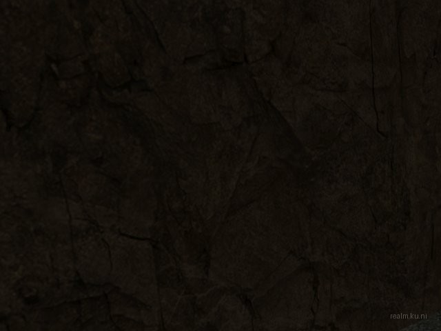 fy_2forts_sc thumb 16