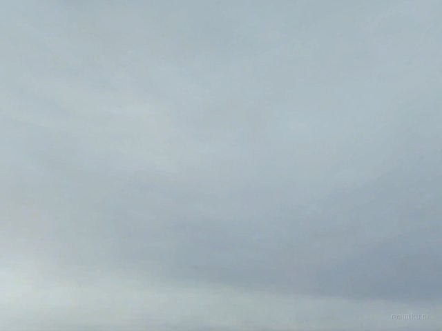 fy_ag_textures_confusion thumb 8