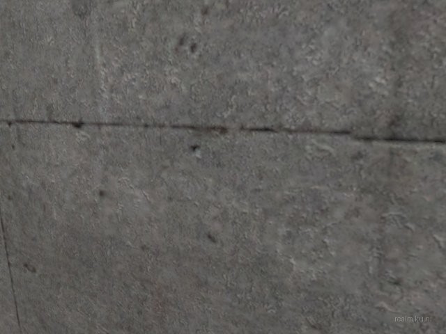 fy_aimsport2 thumb 2