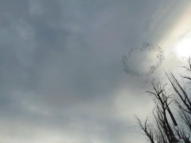 fy_amsay thumb 7