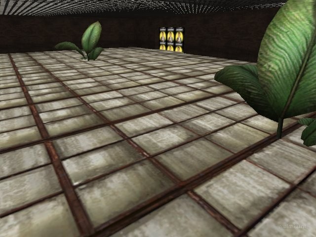 fy_assault_2006 thumb 16