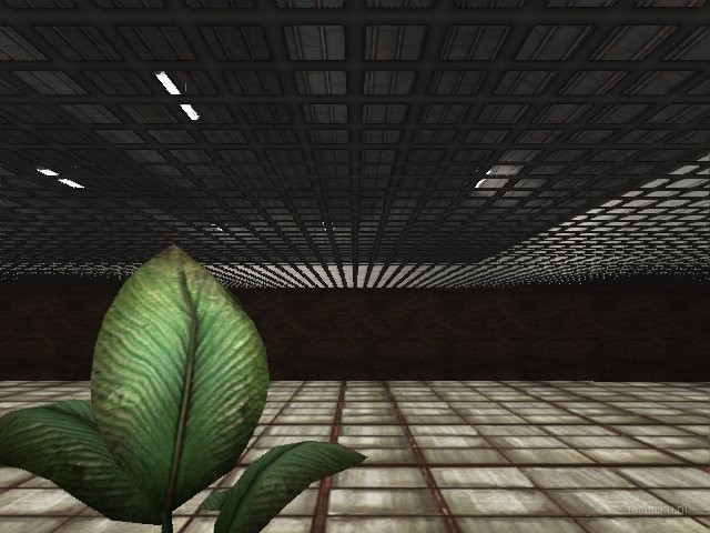 fy_assault_2006 thumb 2