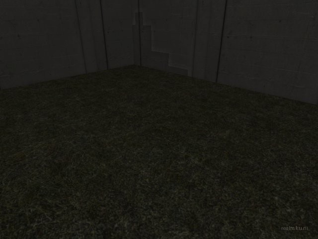 fy_assault_2006 thumb 7