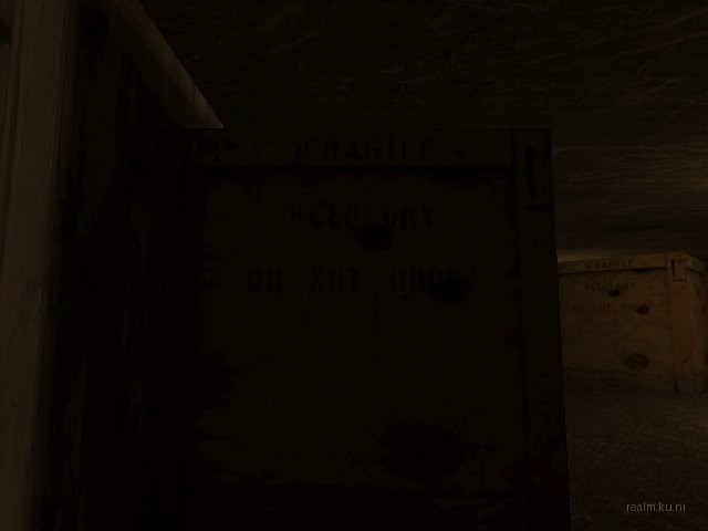 fy_bingdog thumb 6