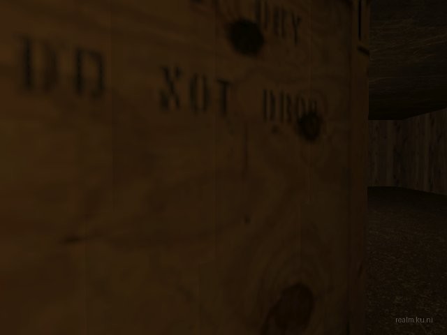 fy_bingdog thumb 11