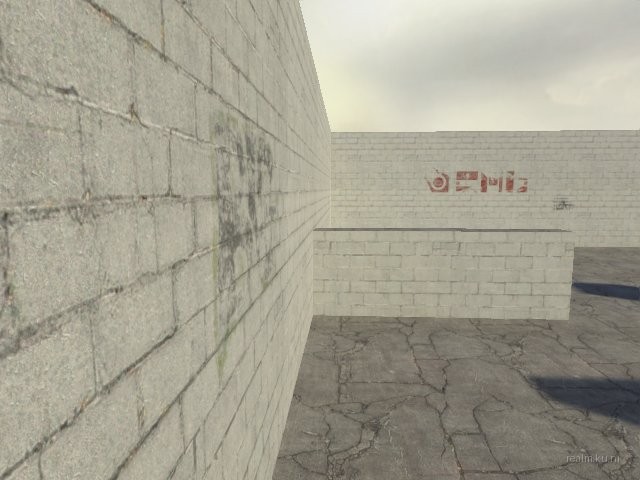 fy_bingdog thumb 14