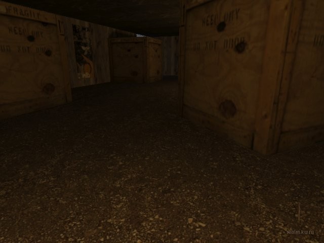 fy_bingdog thumb 2