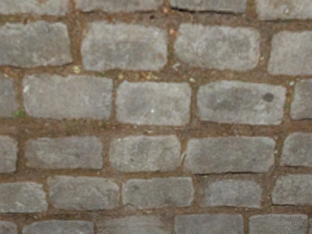 fy_closeup thumb 16