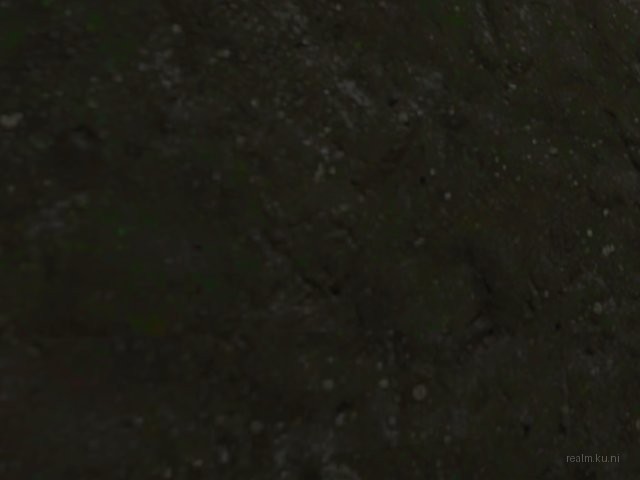 fy_deepforest thumb 10