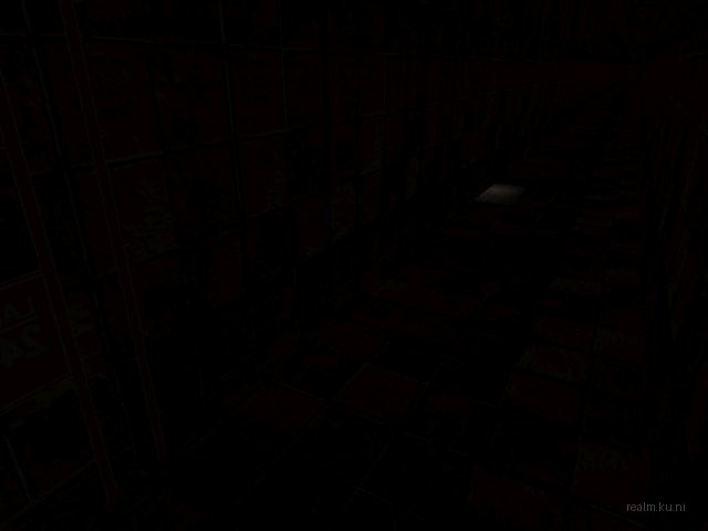 fy_dns_survive thumb 8