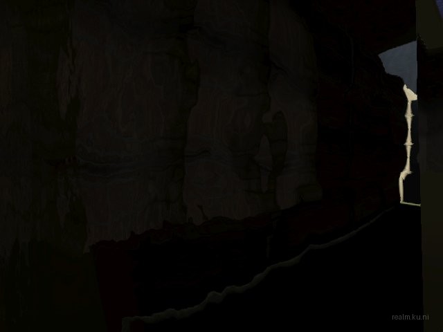fy_dns_survive thumb 22