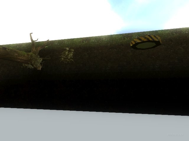 fy_forest thumb 4