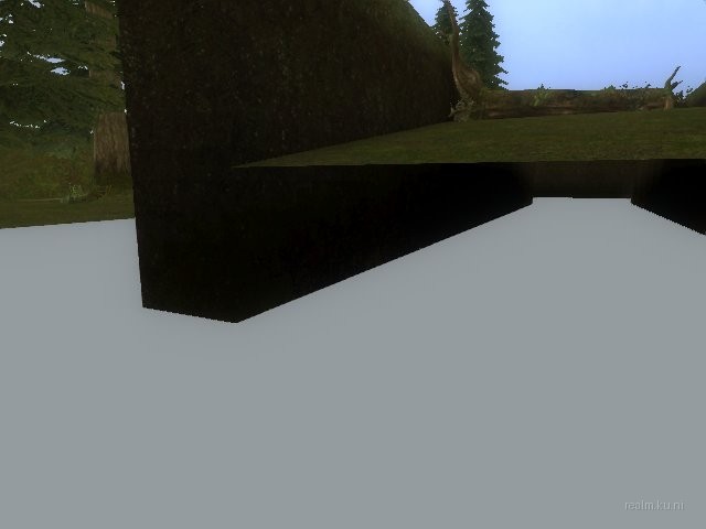 fy_forest thumb 6