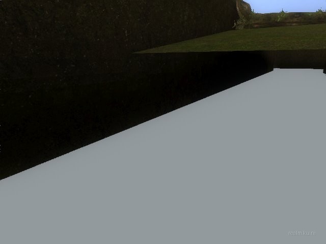 fy_forest thumb 3