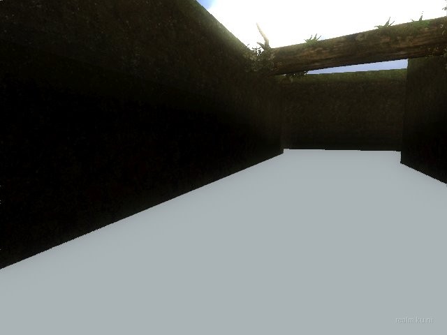 fy_forest thumb 8