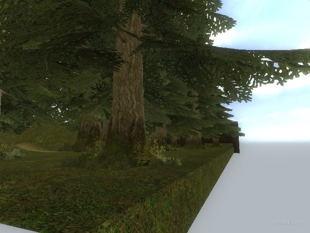 fy_forest thumb 5