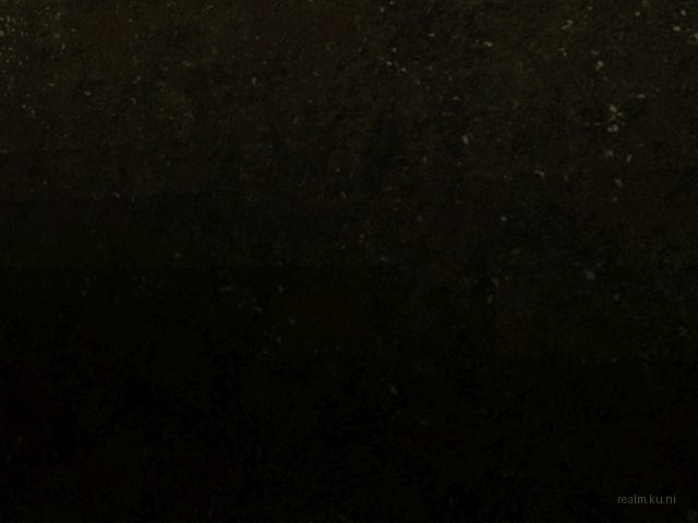 fy_forest thumb 9