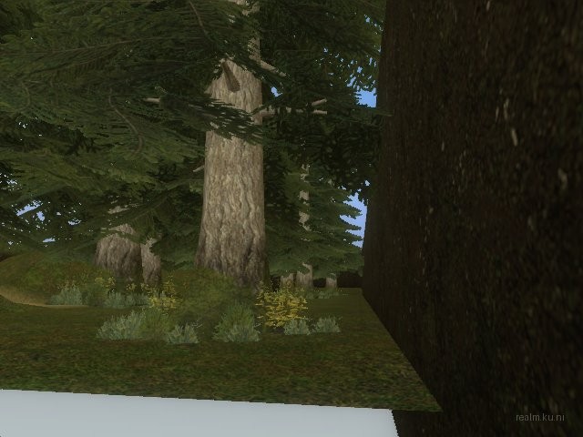 fy_forest thumb 2