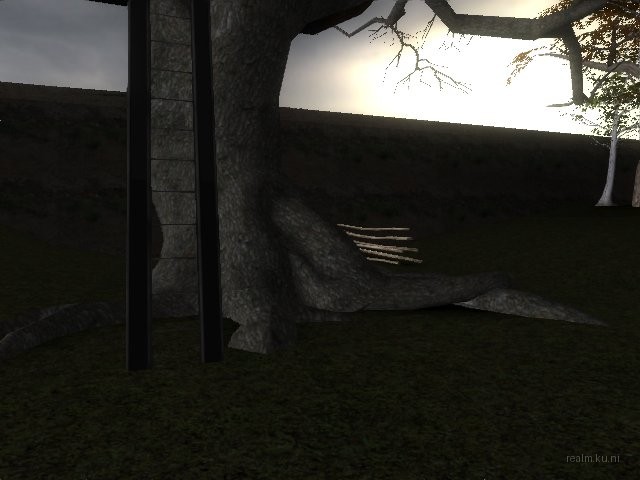 fy_forest_adi thumb 6