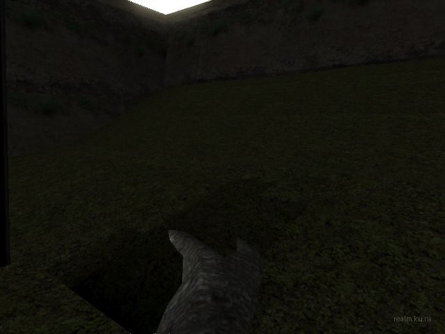 fy_forest_adi thumb 21