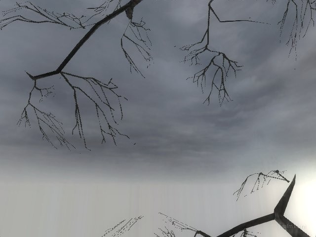 fy_forest_adi thumb 5