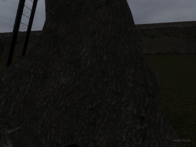 fy_forest_adi thumb 16