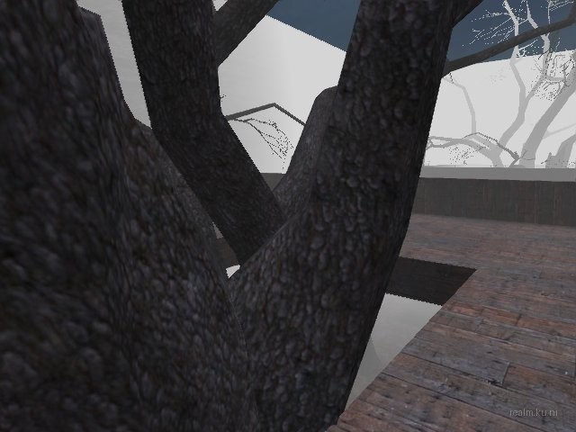 fy_forest_cc_b6 thumb 59