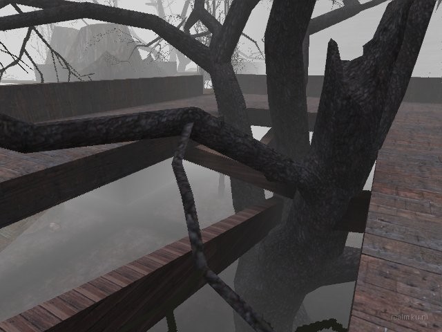 fy_forest_cc_b6 thumb 5