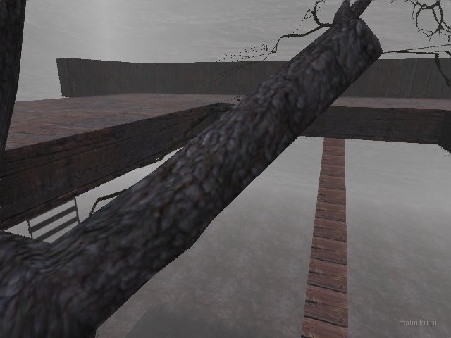 fy_forest_cc_b6 thumb 4