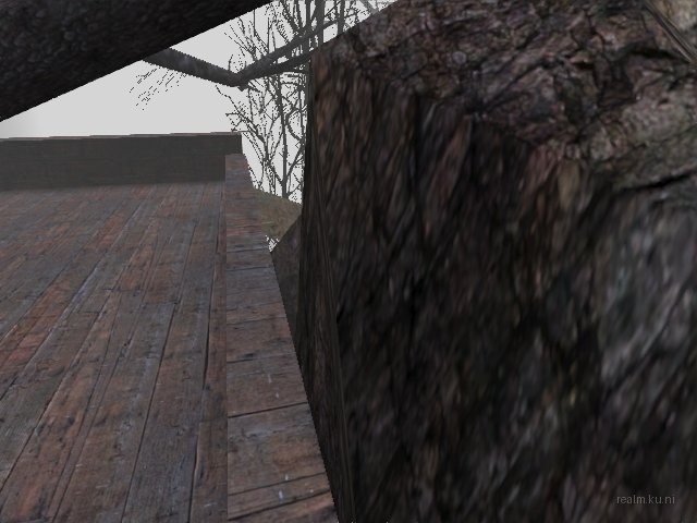 fy_forest_cc_b6 thumb 17