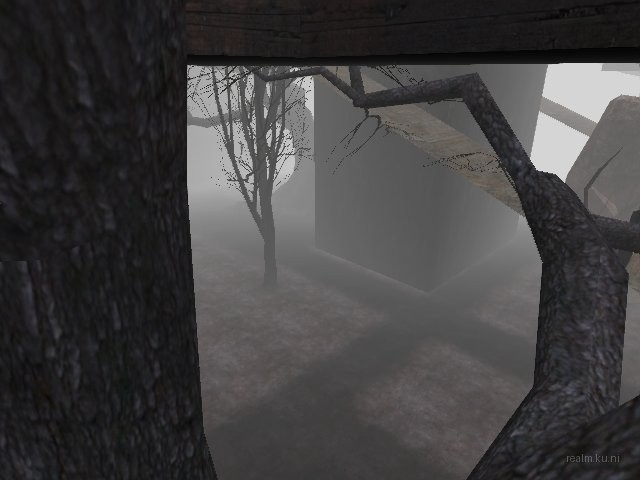 fy_forest_cc_b6 thumb 27