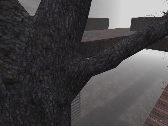 fy_forest_cc_b6 thumb 62