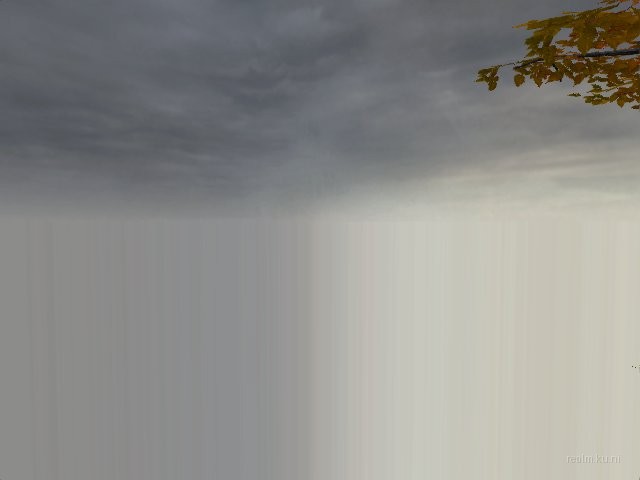 fy_forest_final thumb 16