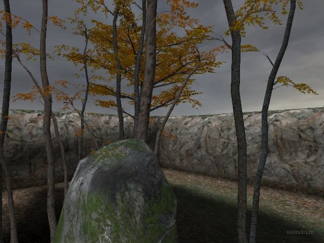 fy_forest_final thumb 19