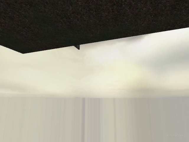 fy_forest_final thumb 17