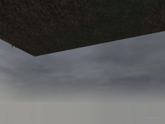 fy_forest_final thumb 8