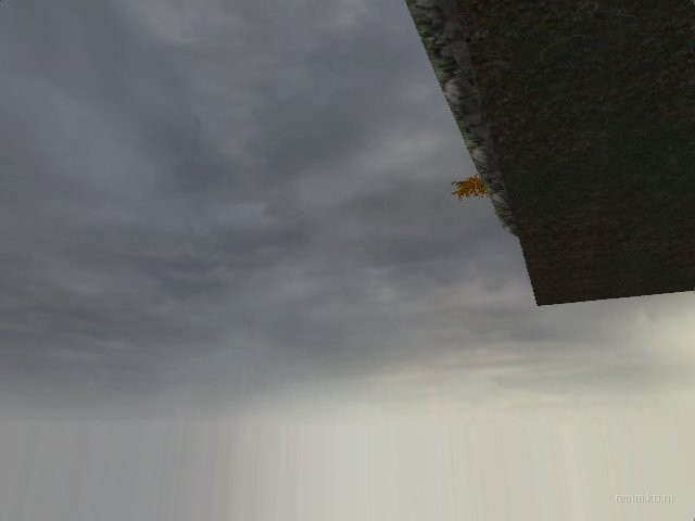 fy_forest_final thumb 5