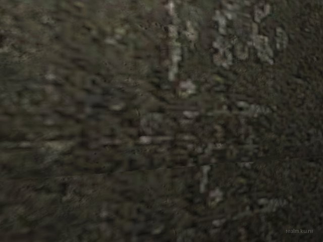 fy_front_v1 thumb 4